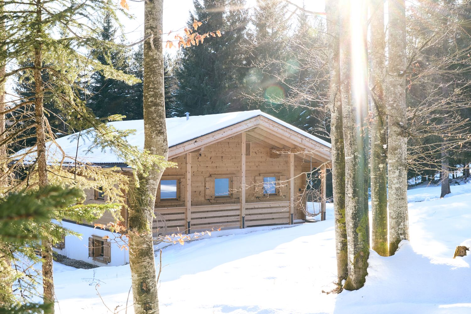 Sole invernale sopra lo chalet innevato nel bosco